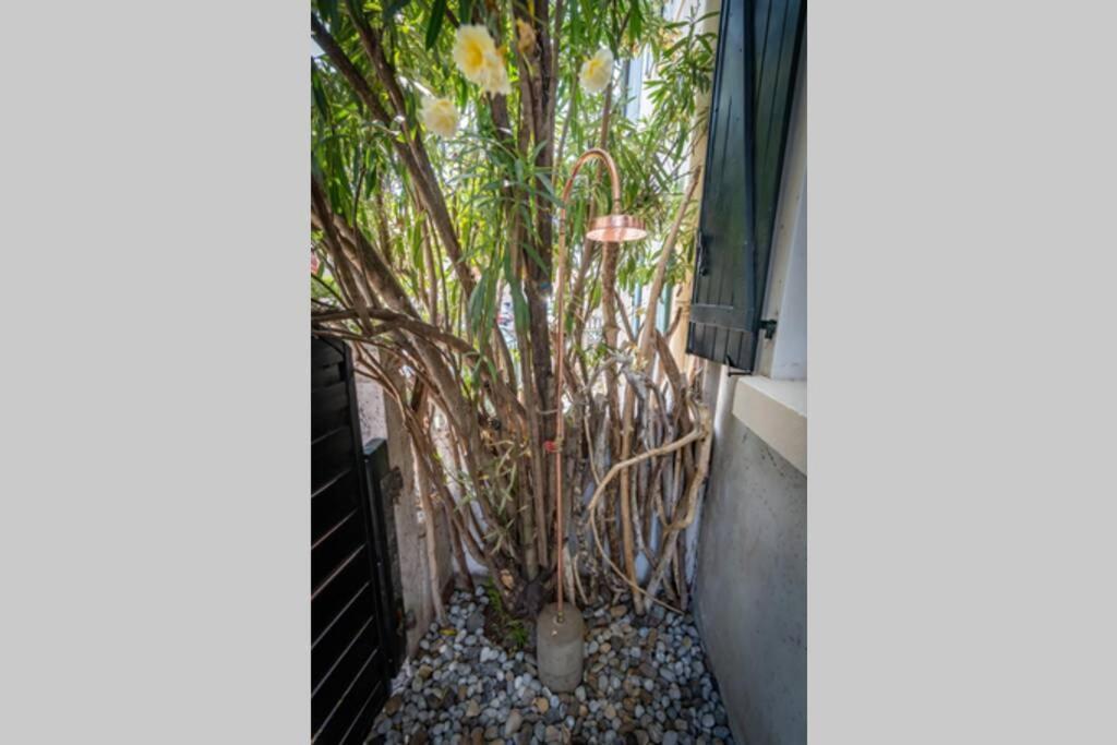 Cote Des Basques, Terrasse, Confort Et Qualite Biarritz Exterior foto